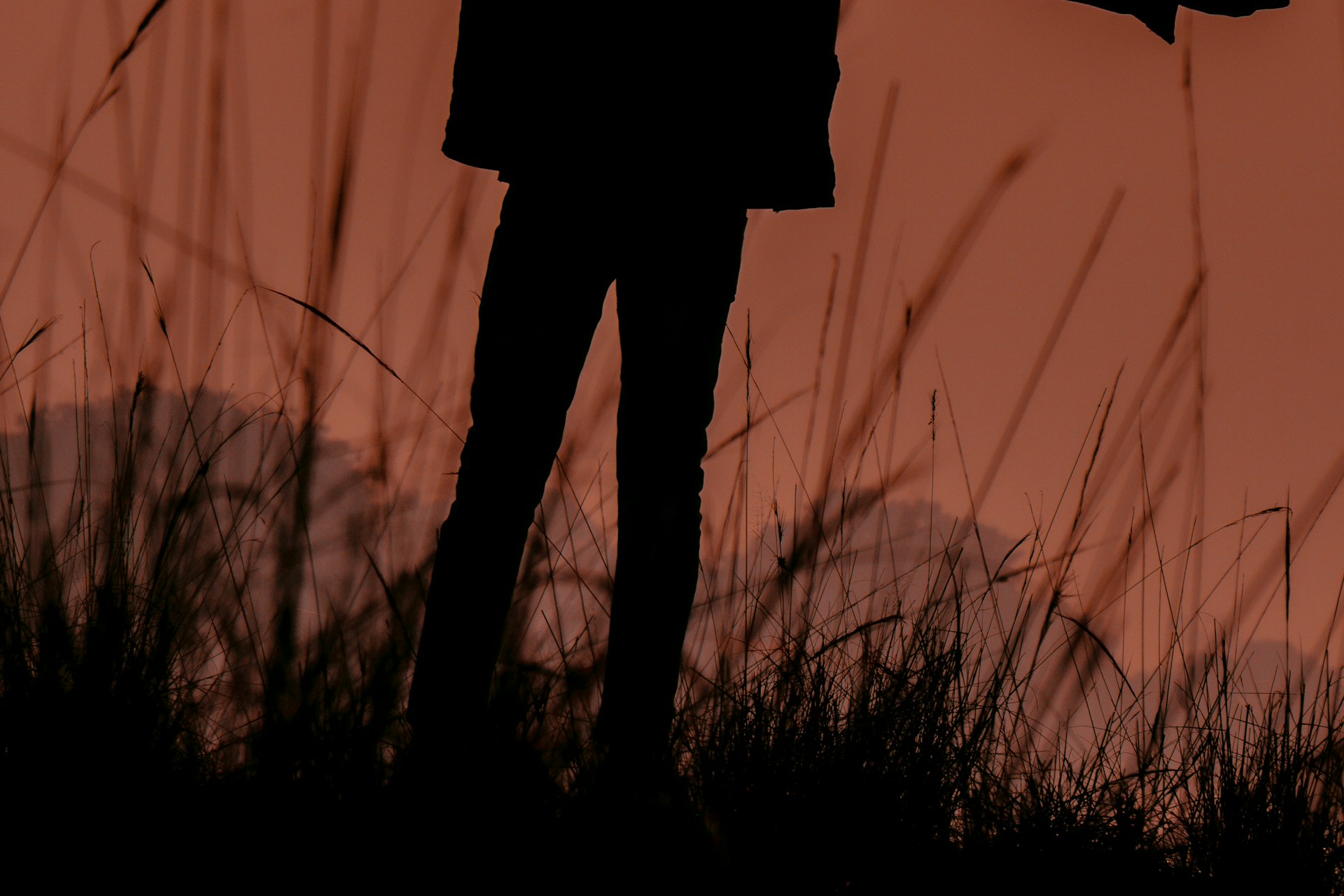 Person with open arms in a field — freedom and a fresh start