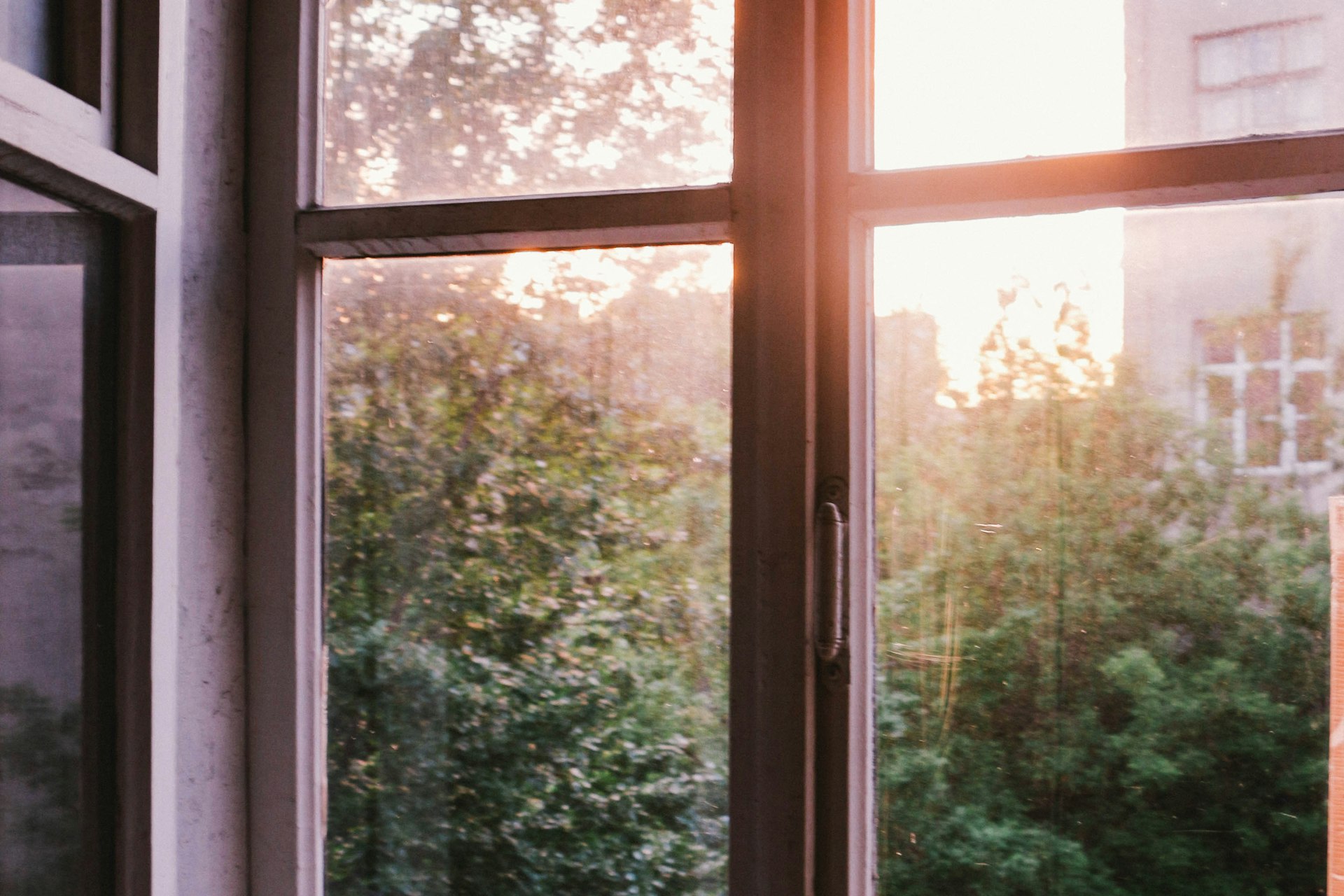 Books by the window — the daily reading habit